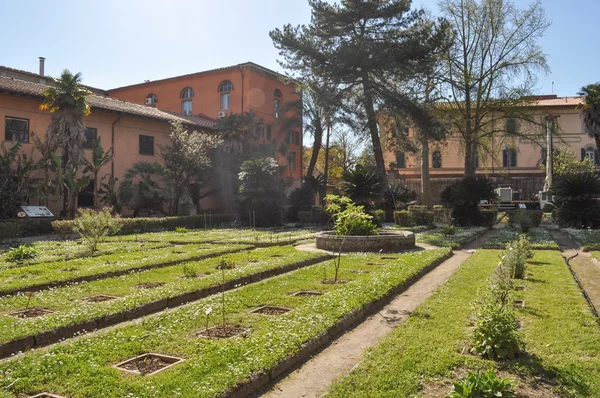 Giardino botanico di Pisa — Foto Stock