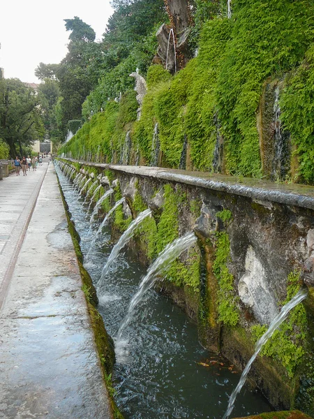 Este a Villa kertek — Stock Fotó