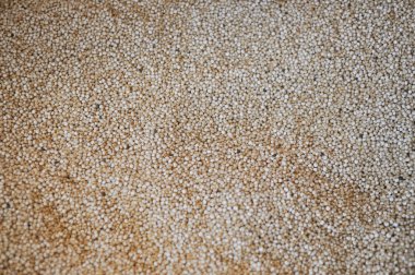 Quinoa Tahıl resim
