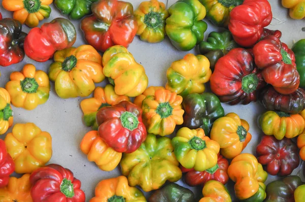 Obraz warzywa papryka — Zdjęcie stockowe