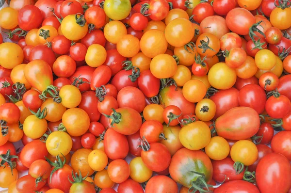 Cherry rajčata zelenina — Stock fotografie