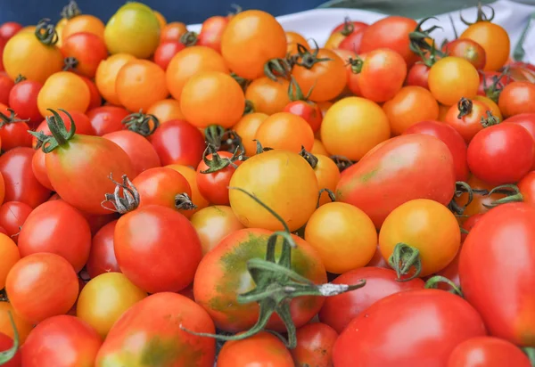 Legumbres de tomate cereza —  Fotos de Stock