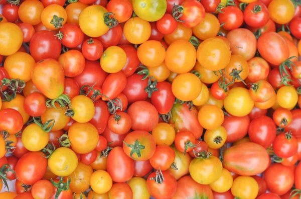 Cherry rajčata zelenina — Stock fotografie