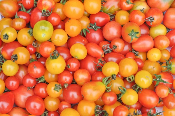 Cherry rajčata zelenina — Stock fotografie