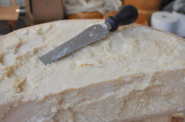 伝統的な手作りチーズ — ストック写真