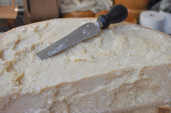 Formaggio artigianale tradizionale — Foto Stock