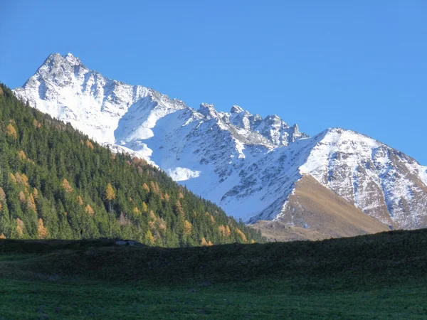 伟大的 St Bernard 山 — 图库照片