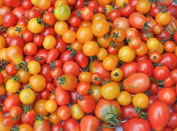 樱桃西红柿等蔬菜 — 图库照片