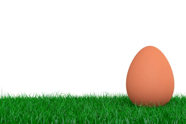 Braunes Ei über Gras. 3D-Darstellung — Stockfoto