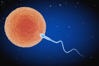 Spermatozoon Ovule için gidiyor. 3D render