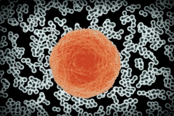 Science-Concept. Cellen van de bacteriën. 3D-rendering — Stockfoto
