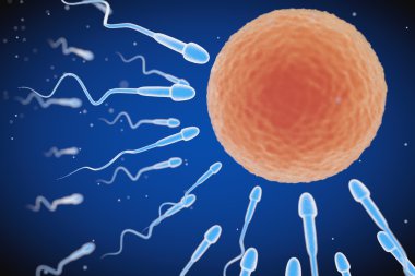 Spermatozoons Ovule için gidiyor. 3D render