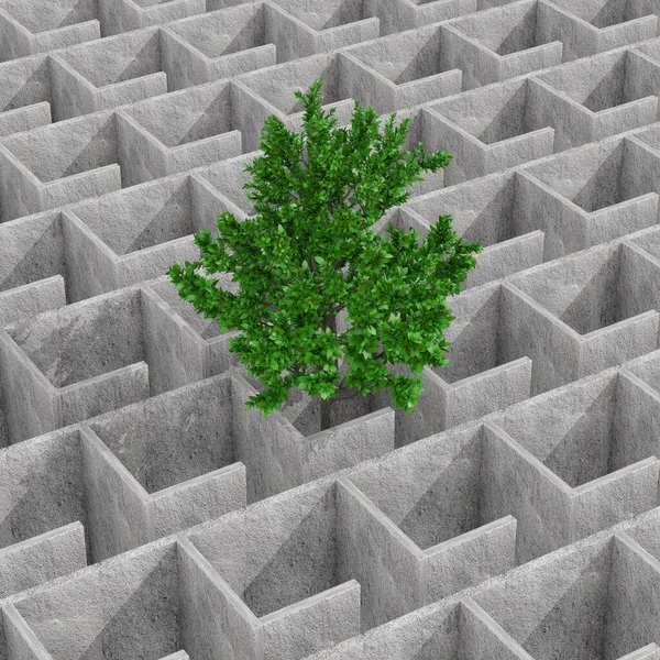 Green Tree Lost Mysterious Infinite Concrete Maze Labyrinth Structure Extreme — Foto Stock