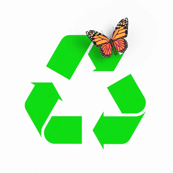 Papillon Sur Green Recycle Sign Sur Fond Blanc Rendu — Photo