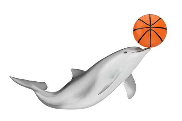 Tursiops Truncatus Ocean Sea Bottlenose Dolphin Con Pelota Baloncesto Sobre —  Fotos de Stock