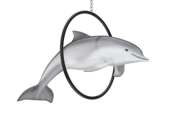 Tursiops Truncatus Ocean Sea Bottlenose Dolphin Jump Ring Fundo Branco — Fotografia de Stock