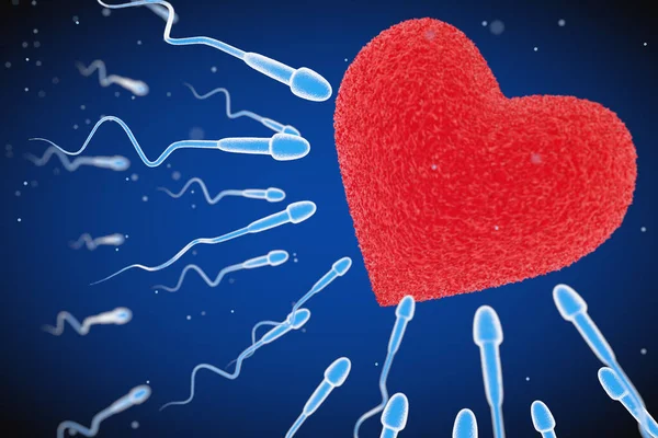 Spermatozoon 은붉은 심장의 극단적 폐쇄의 이프에 Ovule 갑니다 렌더링 — 스톡 사진