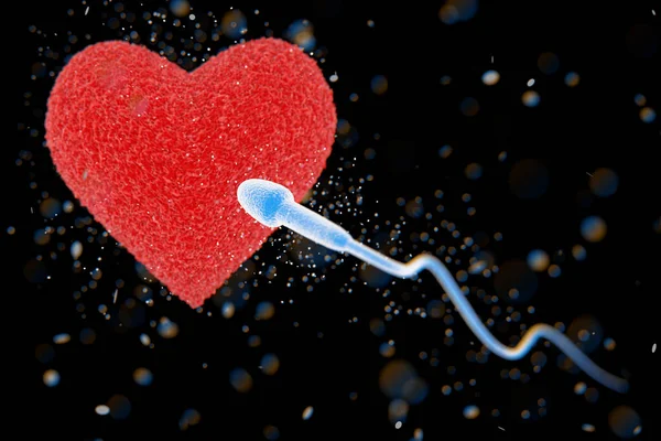 Spermatozoon Red Heart Shape Red Heart Indaki Ovule Gidiyor Hazırlama — Stok fotoğraf