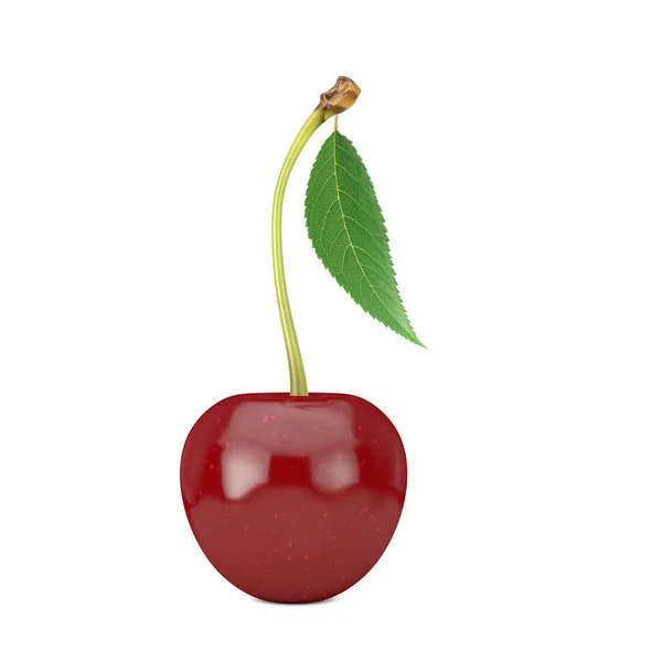 Fris Cherry Fruit Met Blad Een Witte Achtergrond Rendering — Stockfoto