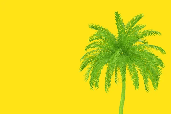 绿色热带棕榈树 呈多酮风格 背景为黄色 3D渲染 — 图库照片