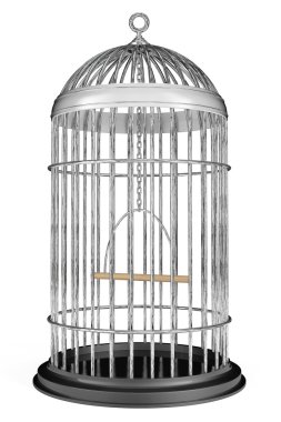 Metal kuş kafesi