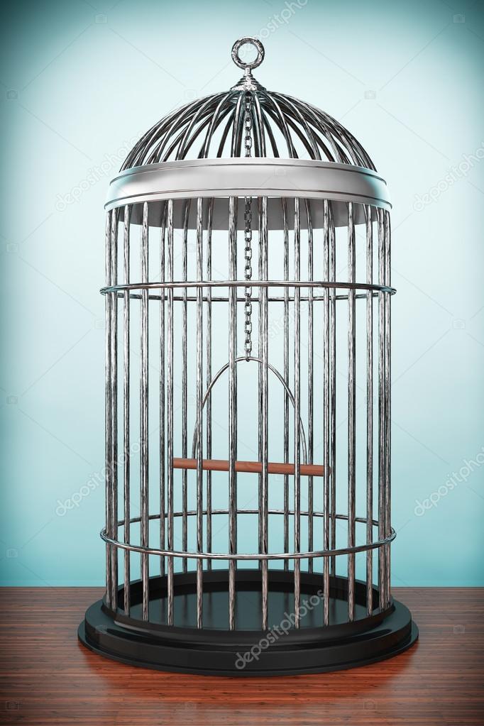 Old Style Photo. Metal Bird Cage