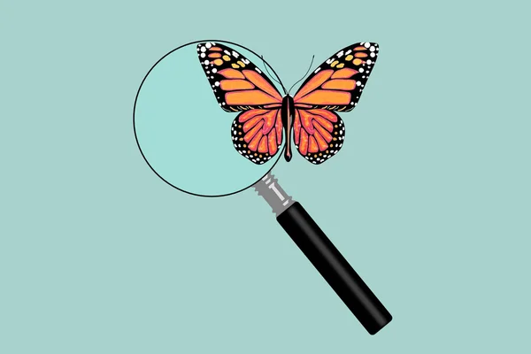 Platte conceptuele afbeelding van de vlinder met Vergrootglas — Stockfoto