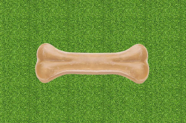 Dog Chew Bone on green grass