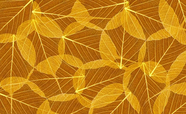 Decorative skeleton leaves background