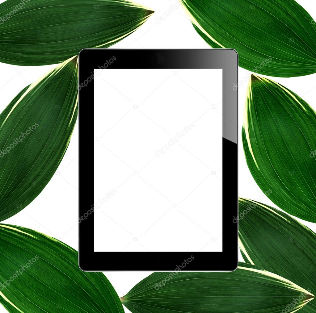 タブレット Pc 空の画面と緑の葉が白で隔離 ストック写真 C Pukach12