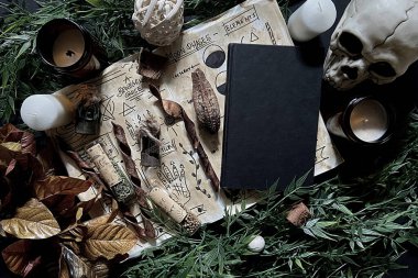 Kitap, cadı, cadı ve cadılar meclisinin tanıtımı için arkaplan düz görünümü, 