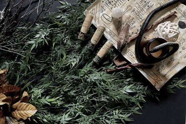 Kitap, cadı, cadı ve cadılar meclisinin tanıtımı için arkaplan düz görünümü, 