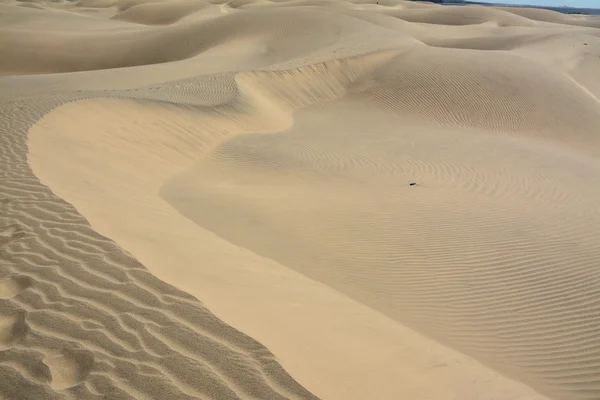 Písečné duny z Maspalomas — Stock fotografie