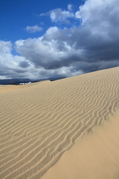 Dunas de arena de Maspalomas —  Fotos de Stock