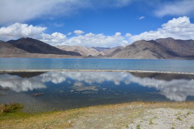 Pangong Lake, Ladakh, Hindistan