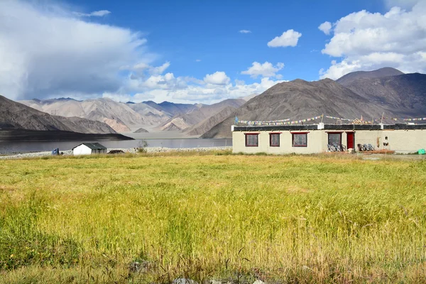 Lago Pangong, Ladakh, India Fotos de stock libres de derechos