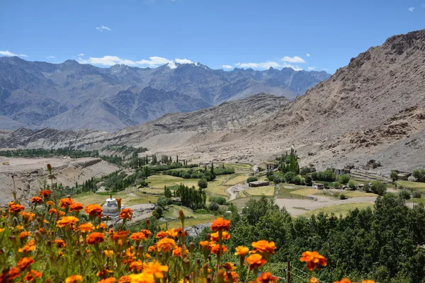 Ladakh Valley, India — Stock Photo, Image