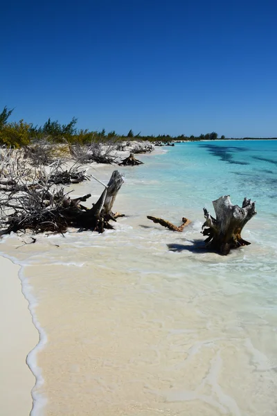 Underbar strand — Stockfoto