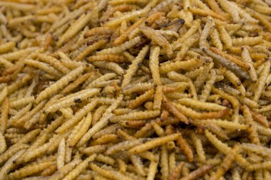 Tayland 'da böcek ve böcek satışı durduruldu.