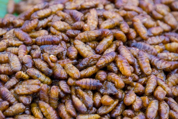 Stall Selling Bugs Insect Thailand — Stock Photo, Image