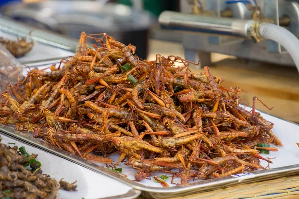 Tayland 'da böcek ve böcek satışı durduruldu.