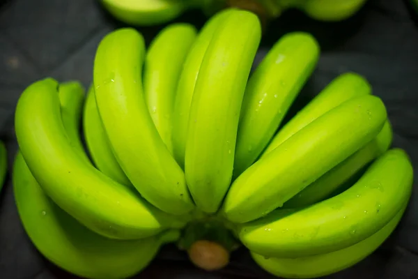 Bunches of fresh green thailand banana