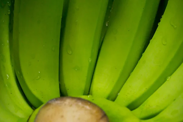 Bündel Frischer Grüner Thailändischer Bananen — Stockfoto