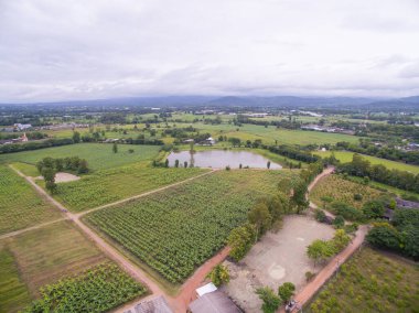 Tak Eyaleti, Tayland 'da bulunan bir muz tarlasının havadan görüntüsü