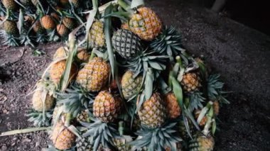 Meyve pazarında yığılmış birkaç ananas