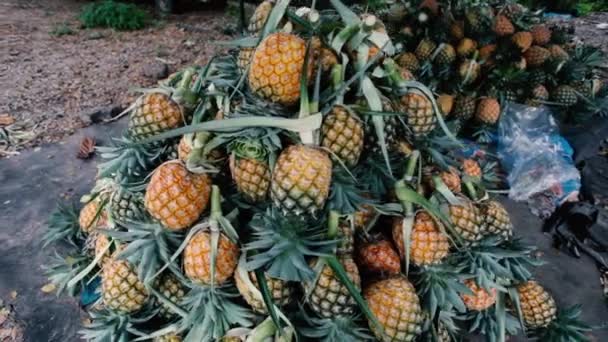 Vários Abacaxis Empilhados Mercado Frutas — Vídeo de Stock