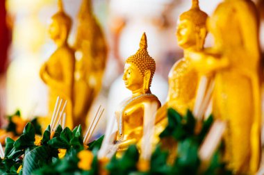 Buda Tapınağı, Chiang Mai Tayland