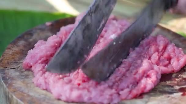 Gewürztes Rinderhackfleisch Oder Salat Aus Rohem Rindfleisch Oder Larb Thai — Stockvideo