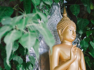 Kuzey Tayland 'da Chiang Mai yakınlarındaki Wat Si Suphan Tapınağında Buda resmi.