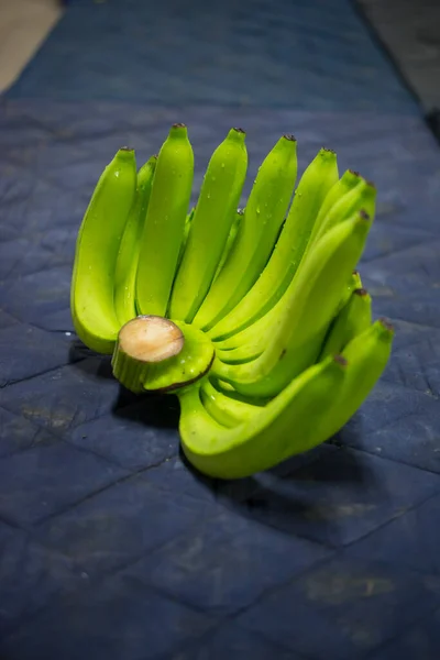 Bunches of fresh green thailand banana